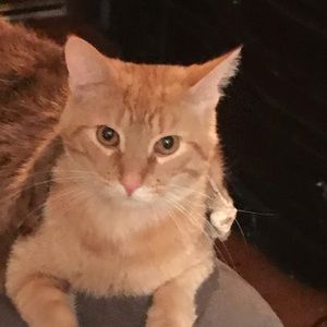 Meet your Posher, Tristan